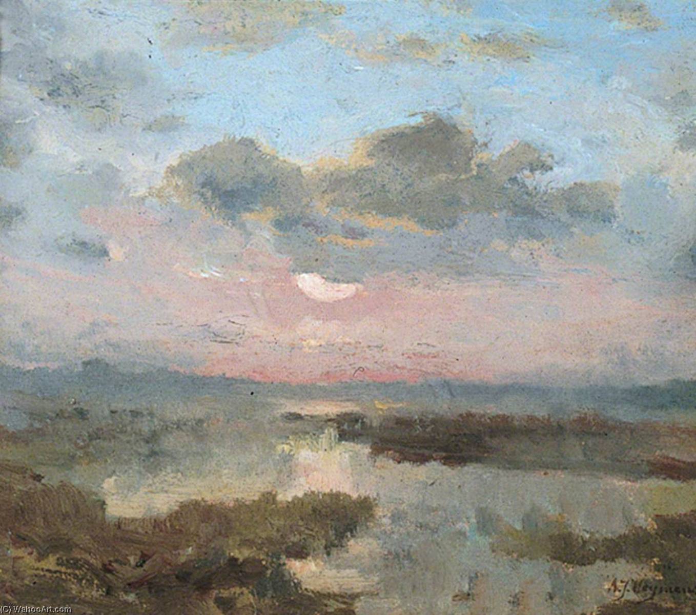 Wikioo.org - The Encyclopedia of Fine Arts - Painting, Artwork by Adriaan Josef Heymans - Soleil couchant dans les marécages