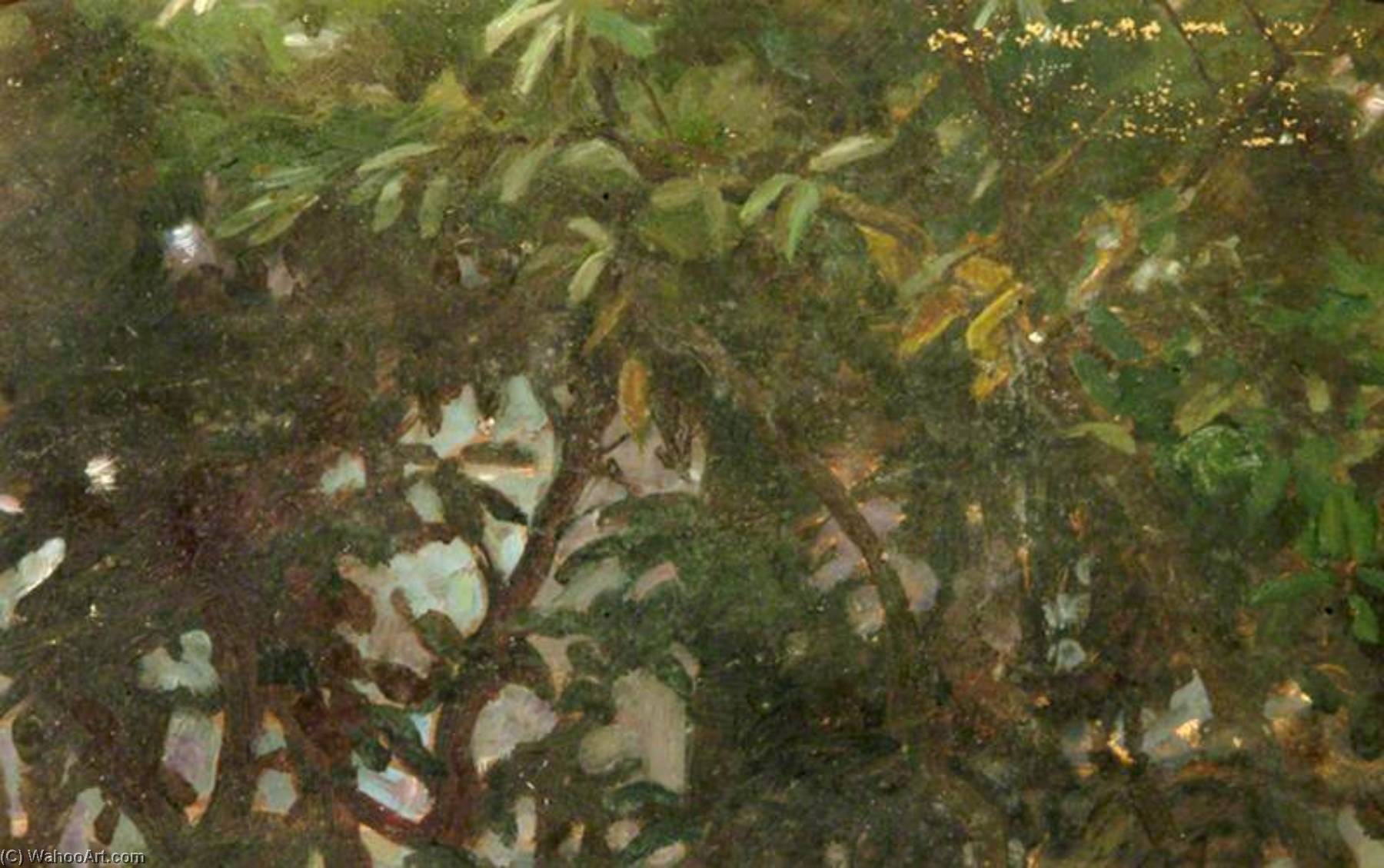 Wikioo.org - The Encyclopedia of Fine Arts - Painting, Artwork by Percy Harland Fisher - Leaves (verso)
