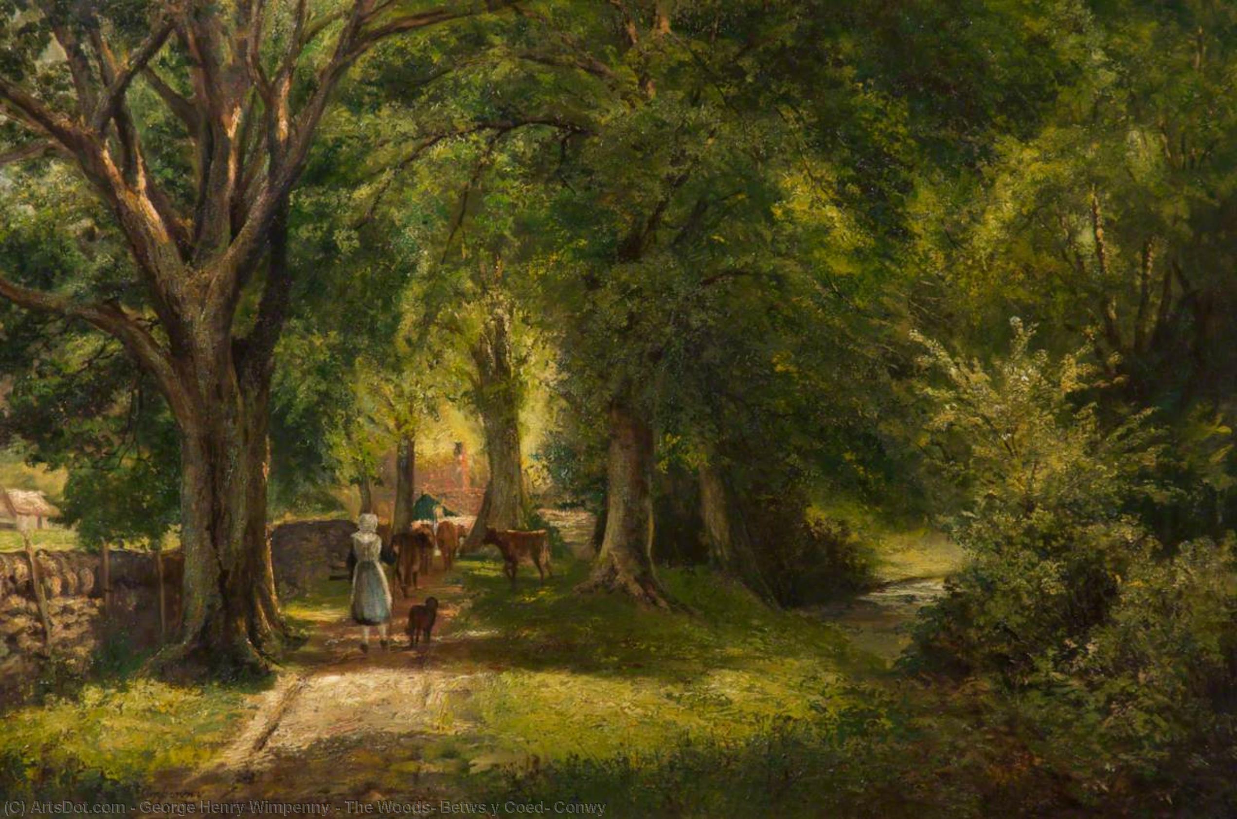 Wikioo.org - The Encyclopedia of Fine Arts - Painting, Artwork by George Henry Wimpenny - The Woods, Betws y Coed, Conwy