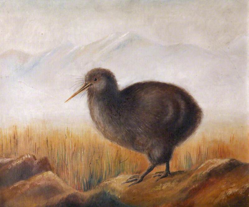 Wikioo.org - The Encyclopedia of Fine Arts - Painting, Artwork by Rosalie Chichester - A Kiwi in a Landscape