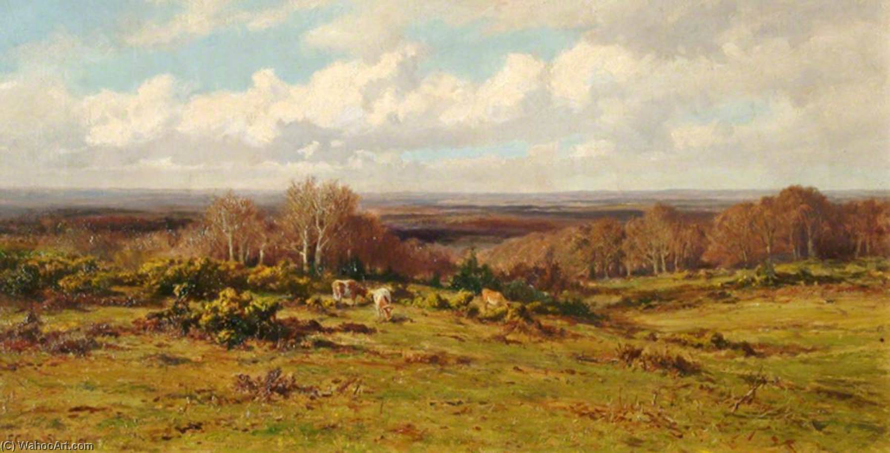 Wikioo.org - The Encyclopedia of Fine Arts - Painting, Artwork by Frederick Golden Short - A Distant Forest Scene