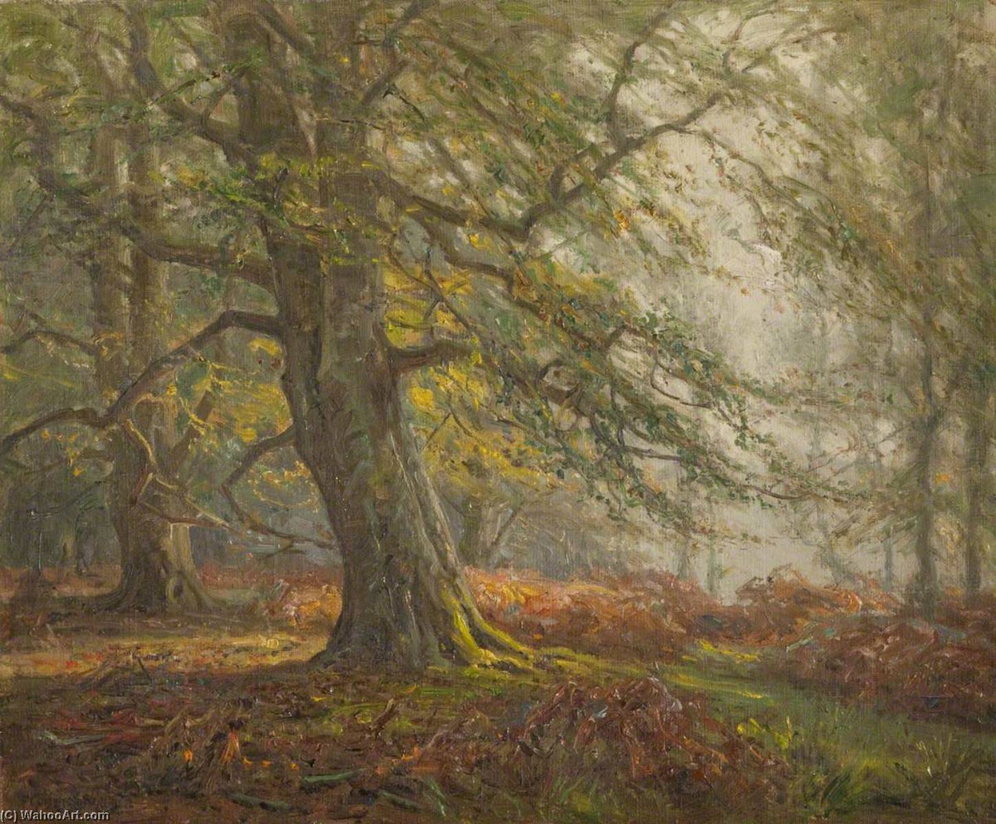Wikioo.org - The Encyclopedia of Fine Arts - Painting, Artwork by Frederick Golden Short - New Forest