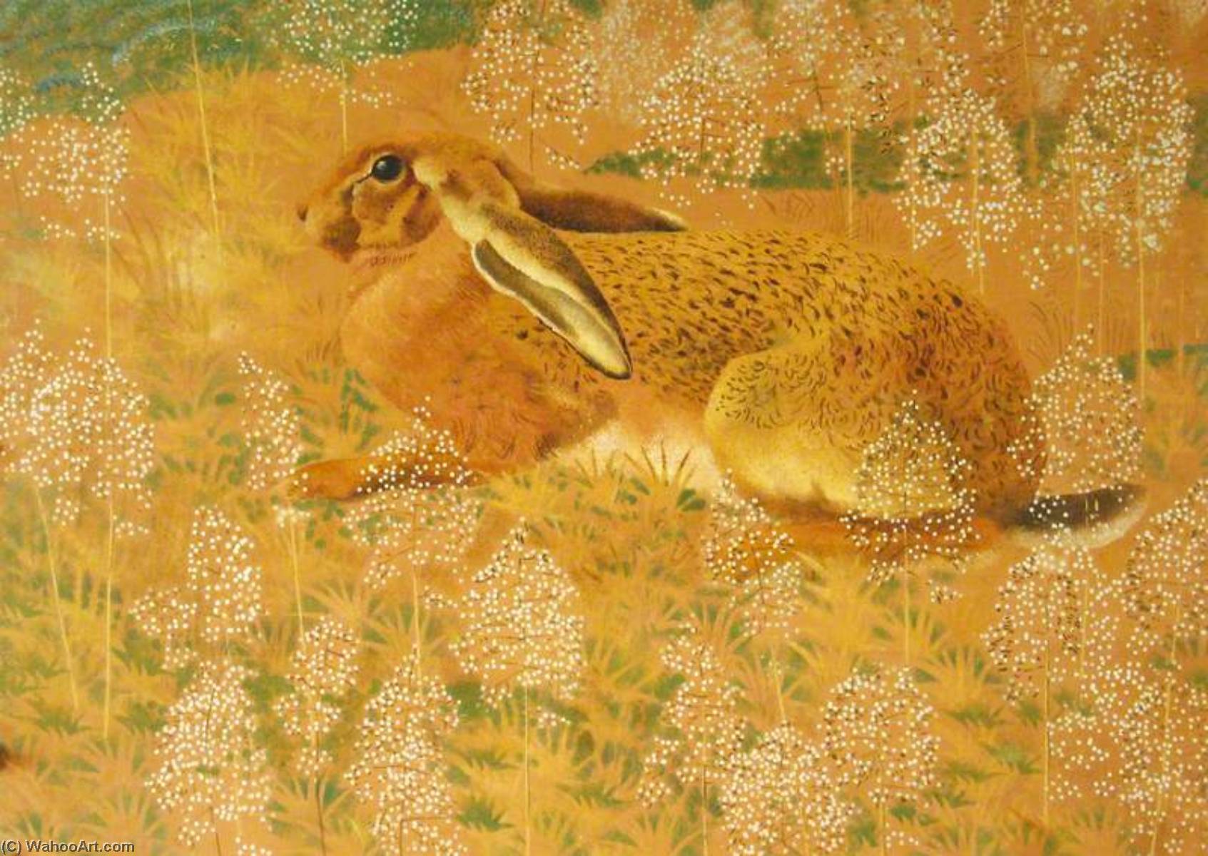 Wikioo.org - The Encyclopedia of Fine Arts - Painting, Artwork by Charles Frederick Tunnicliffe - Sitting Hare