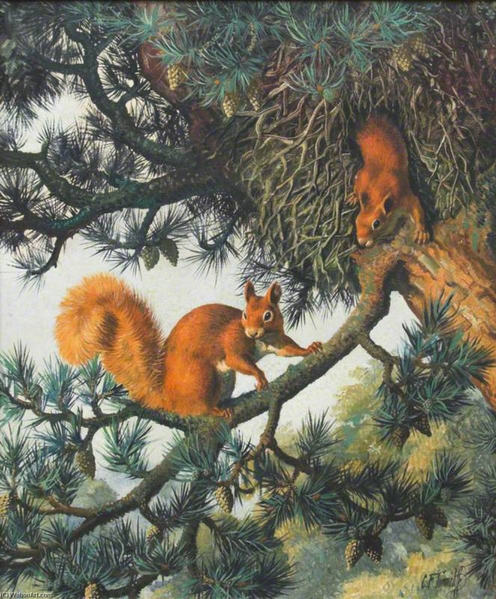 Wikioo.org - The Encyclopedia of Fine Arts - Painting, Artwork by Charles Frederick Tunnicliffe - Red Squirrels