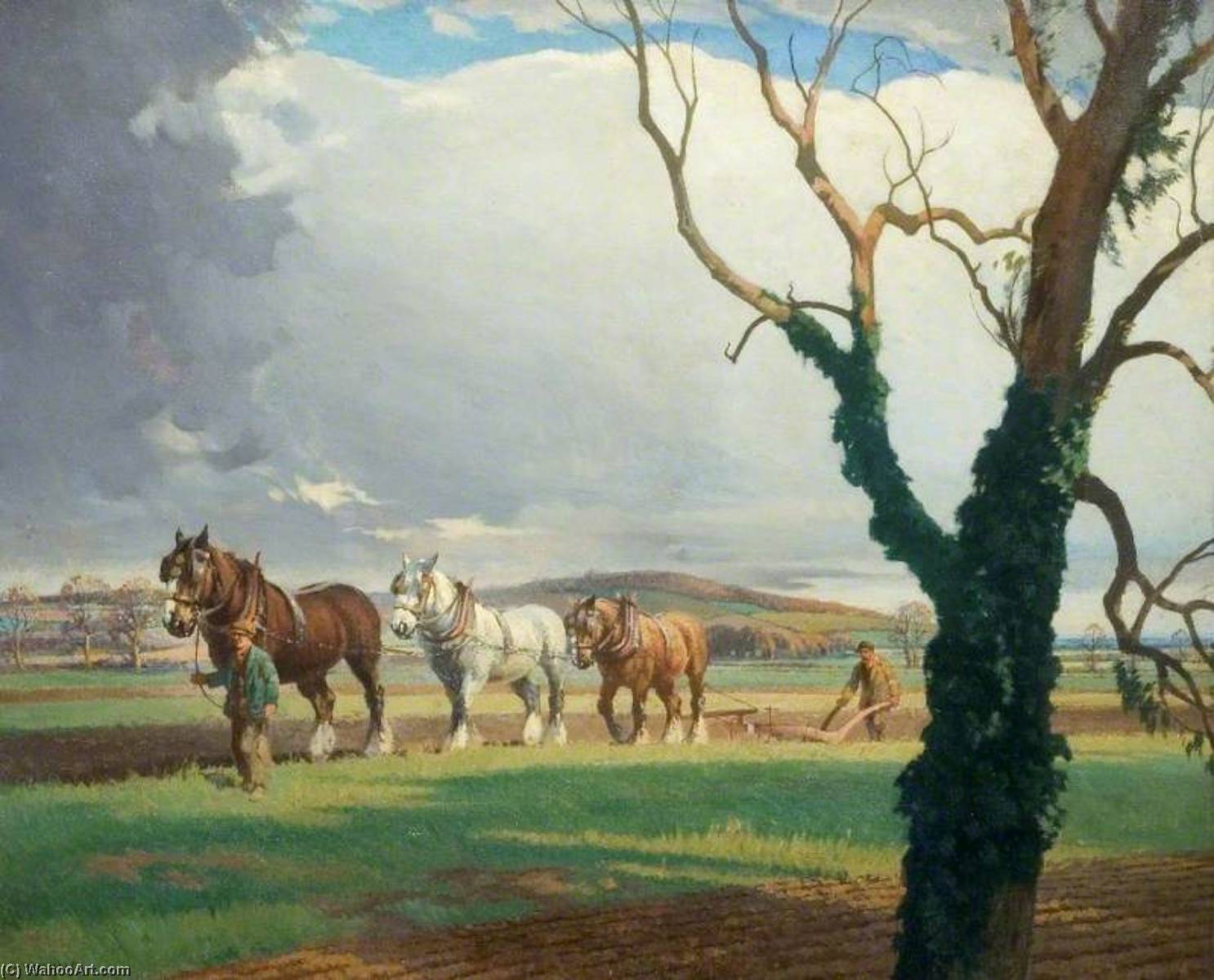 Wikioo.org - The Encyclopedia of Fine Arts - Painting, Artwork by Ernest Herbert Whydale - Ploughing on Sandy Heath