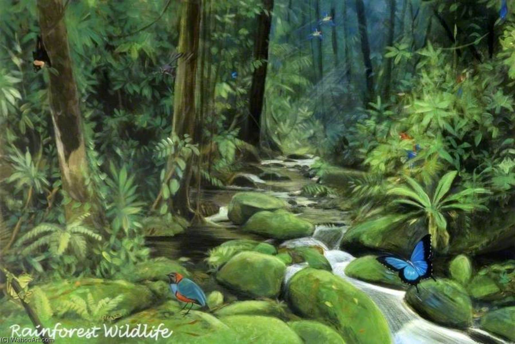 WikiOO.org - Enciclopedia of Fine Arts - Pictura, lucrări de artă Antonia Phillips - 'Dreams of Australia' Series, Rainforest Wildlife