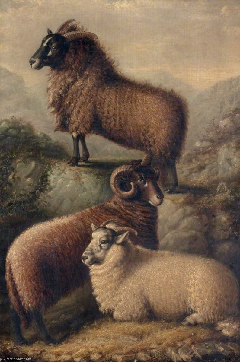 Wikioo.org - The Encyclopedia of Fine Arts - Painting, Artwork by William Shiels - Three Welsh Sheep