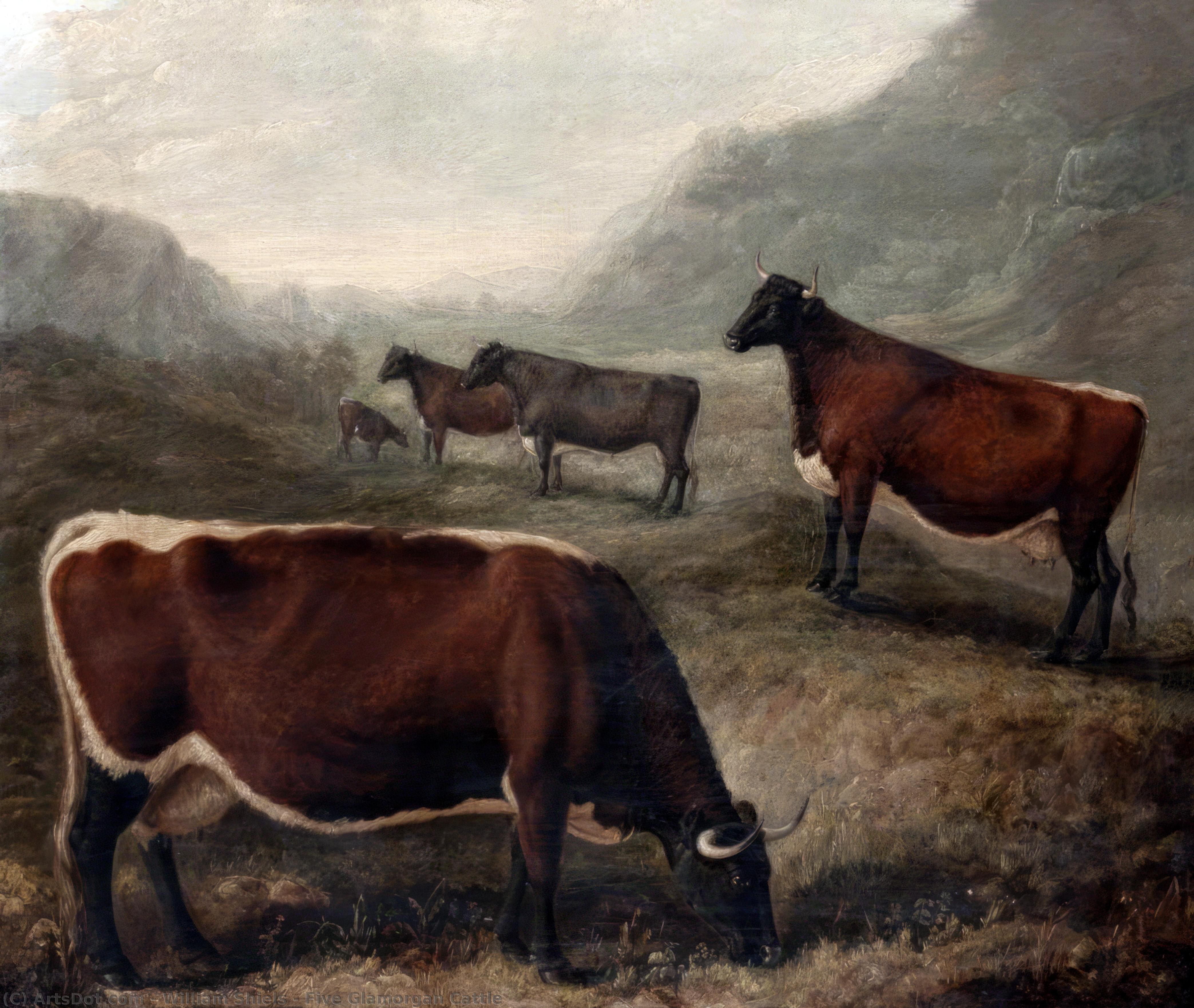 Wikioo.org - The Encyclopedia of Fine Arts - Painting, Artwork by William Shiels - Five Glamorgan Cattle