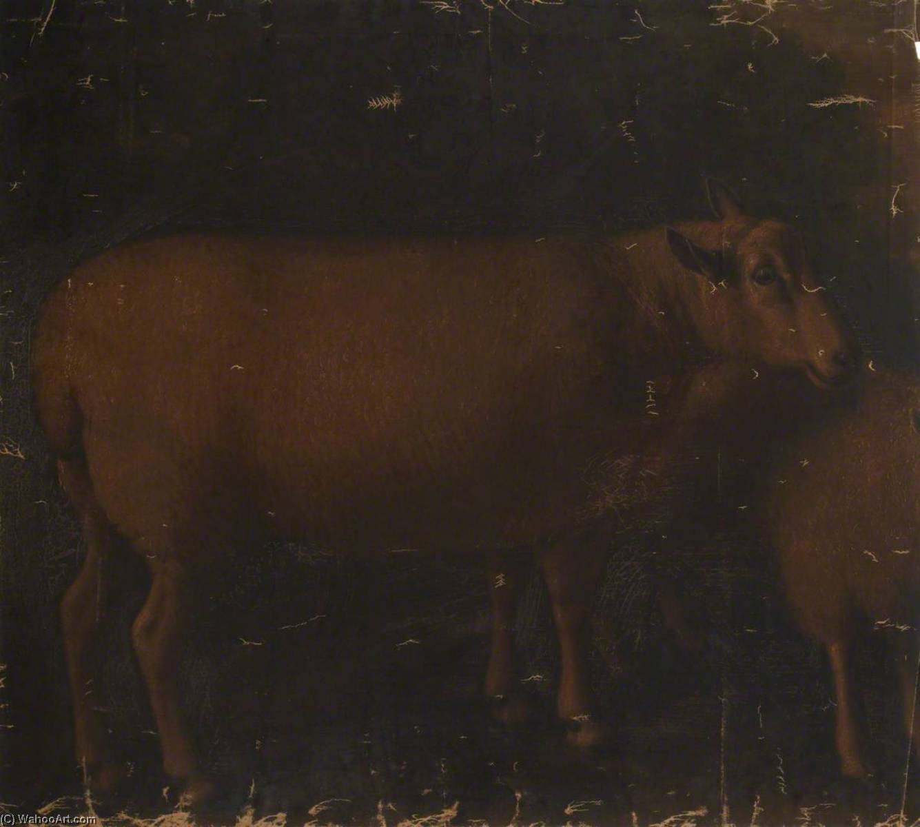 Wikioo.org - The Encyclopedia of Fine Arts - Painting, Artwork by William Shiels - Ewe and Lamb