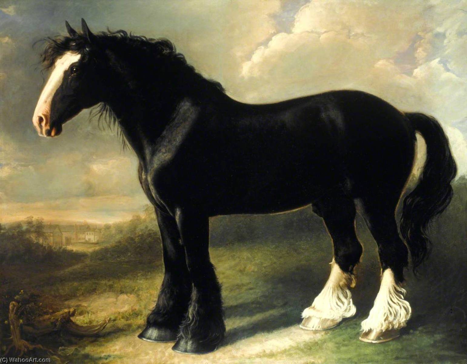 Wikioo.org - The Encyclopedia of Fine Arts - Painting, Artwork by William Shiels - Old English Black Horse