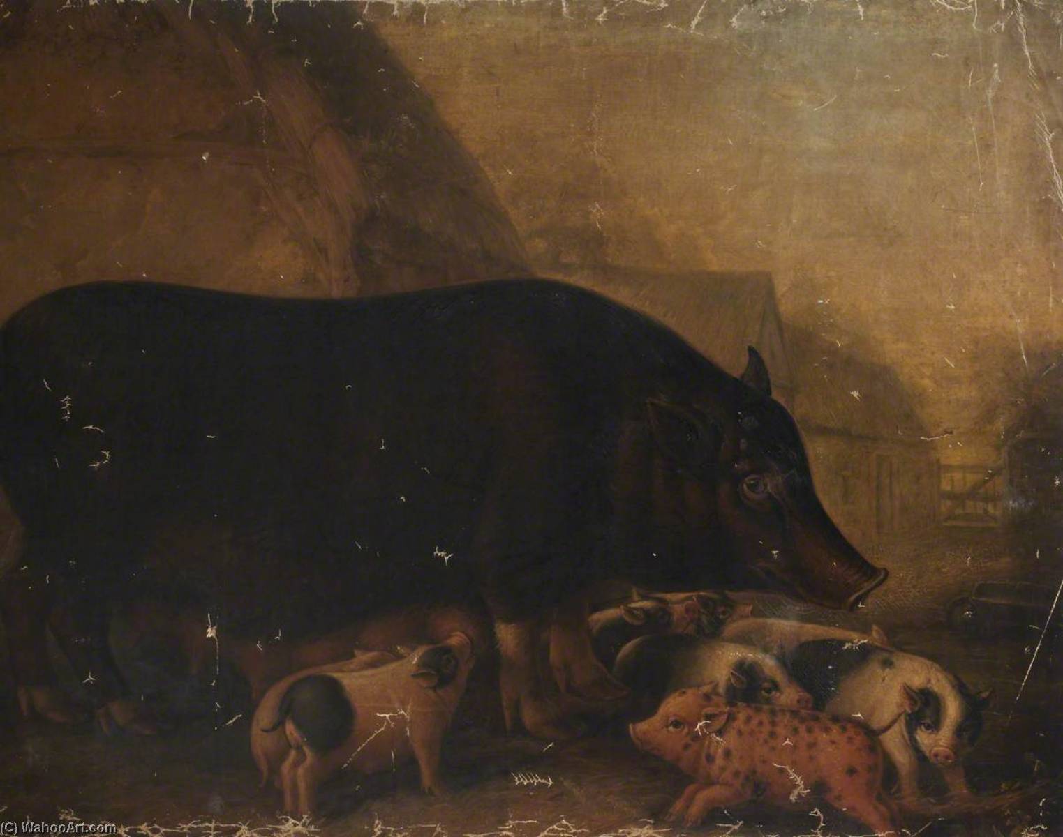 Wikioo.org - The Encyclopedia of Fine Arts - Painting, Artwork by William Shiels - Siamese Sow and Piglets