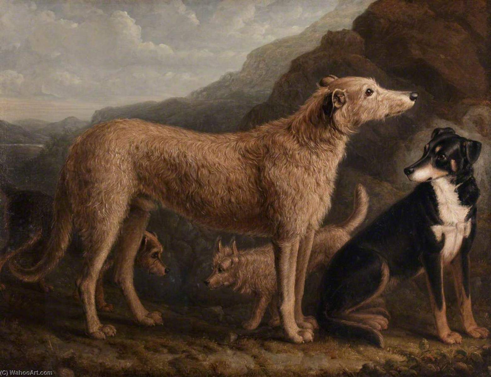 Wikioo.org - The Encyclopedia of Fine Arts - Painting, Artwork by William Shiels - Four Dogs a Collie from Tweedale, a Scots Deerhound, an Otter Terrier and a Scots Terrier
