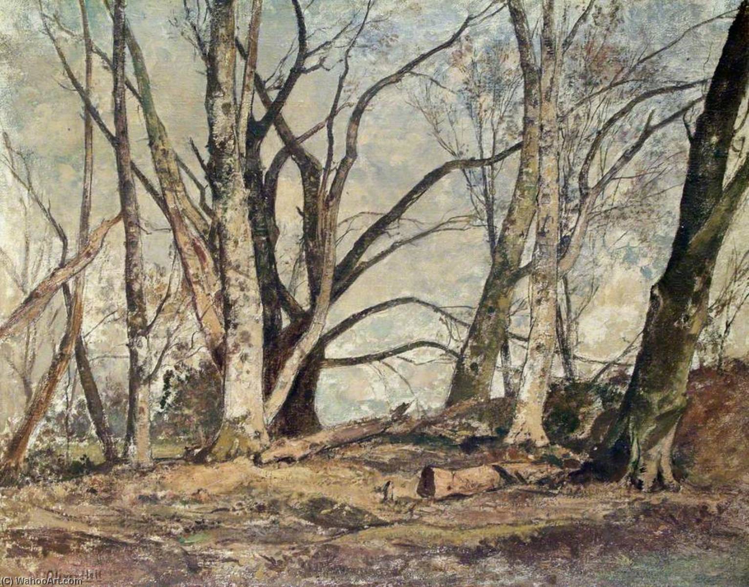 Wikioo.org - The Encyclopedia of Fine Arts - Painting, Artwork by Oliver Hall - Houghton Forest, March Sunlight