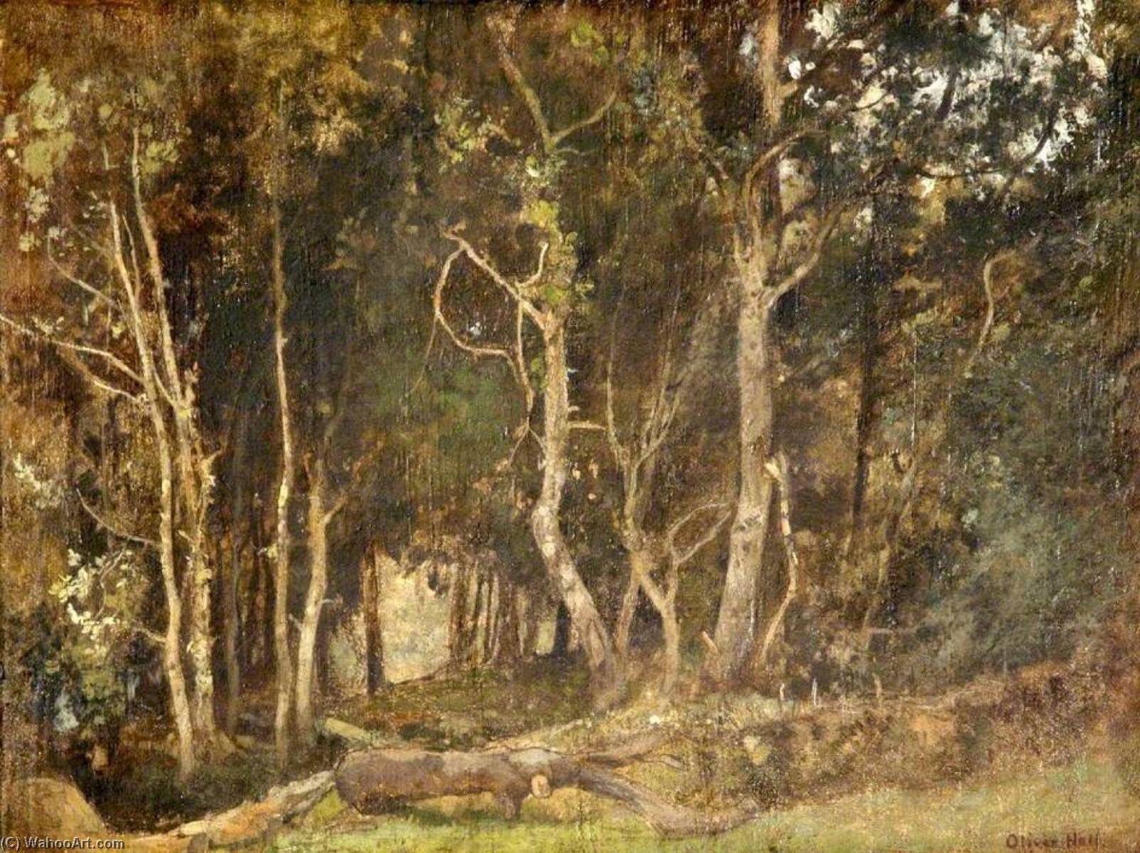 Wikioo.org - The Encyclopedia of Fine Arts - Painting, Artwork by Oliver Hall - Entrance to Egdean Wood, West Sussex