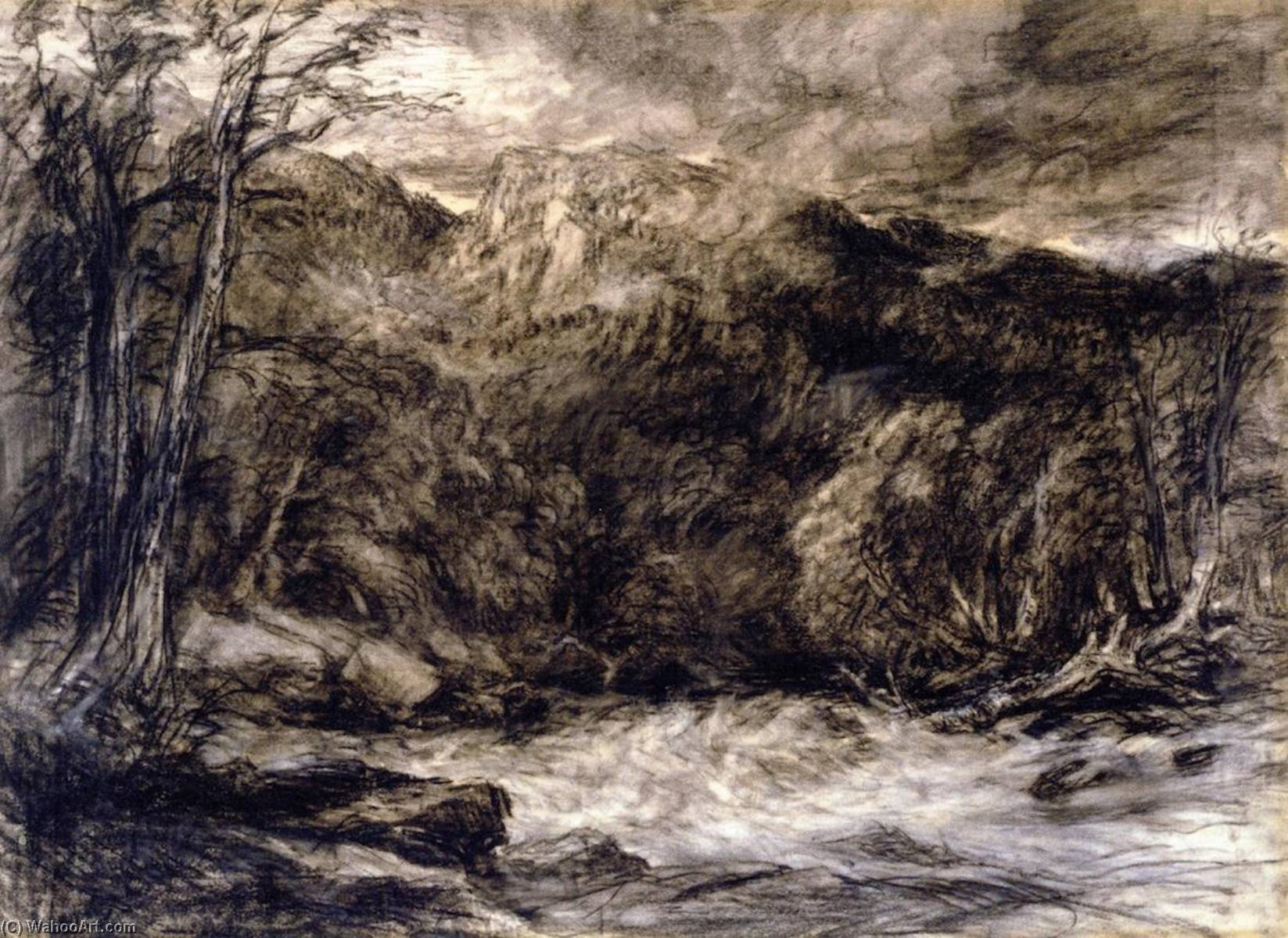Wikioo.org - The Encyclopedia of Fine Arts - Painting, Artwork by David Cox The Elder - A Mountain Torrent