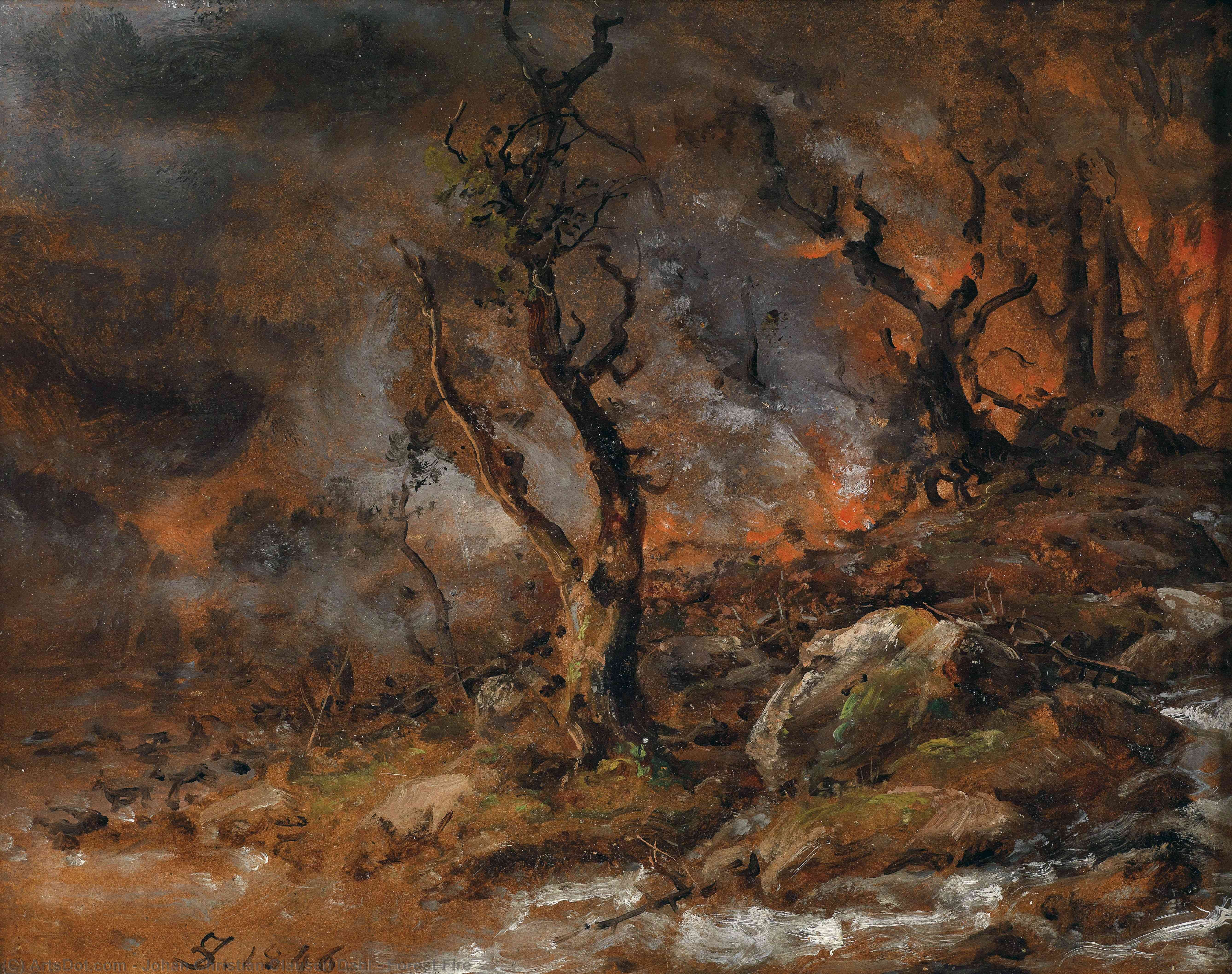 Wikioo.org - The Encyclopedia of Fine Arts - Painting, Artwork by Johan Christian Clausen Dahl - Forest Fire