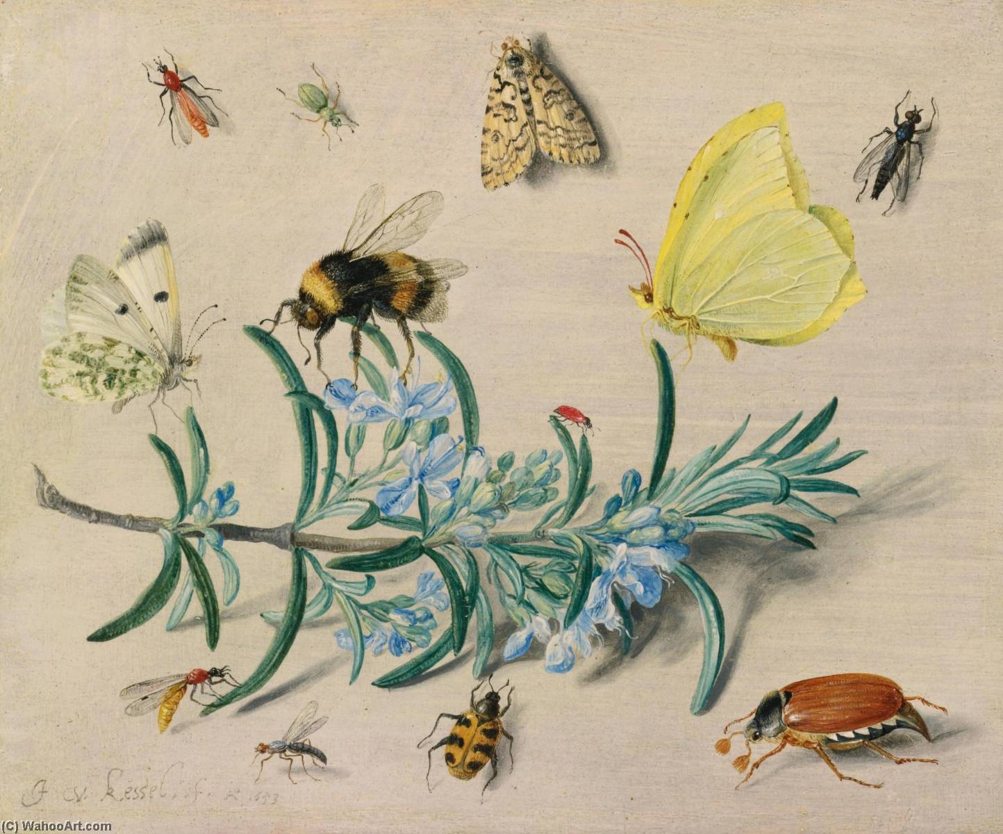 Wikioo.org - The Encyclopedia of Fine Arts - Painting, Artwork by Jan Van Kessel The Elder - A Still Life Study of Insects on a Sprig of Rosemary with Butterflies, a Bumble Bee, Beetles and Other Insects