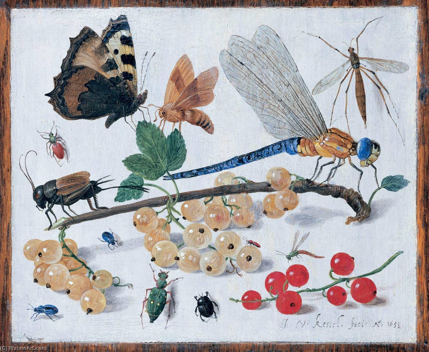 WikiOO.org – 美術百科全書 - 繪畫，作品 Jan Van Kessel The Elder - 图纸 的  昆虫