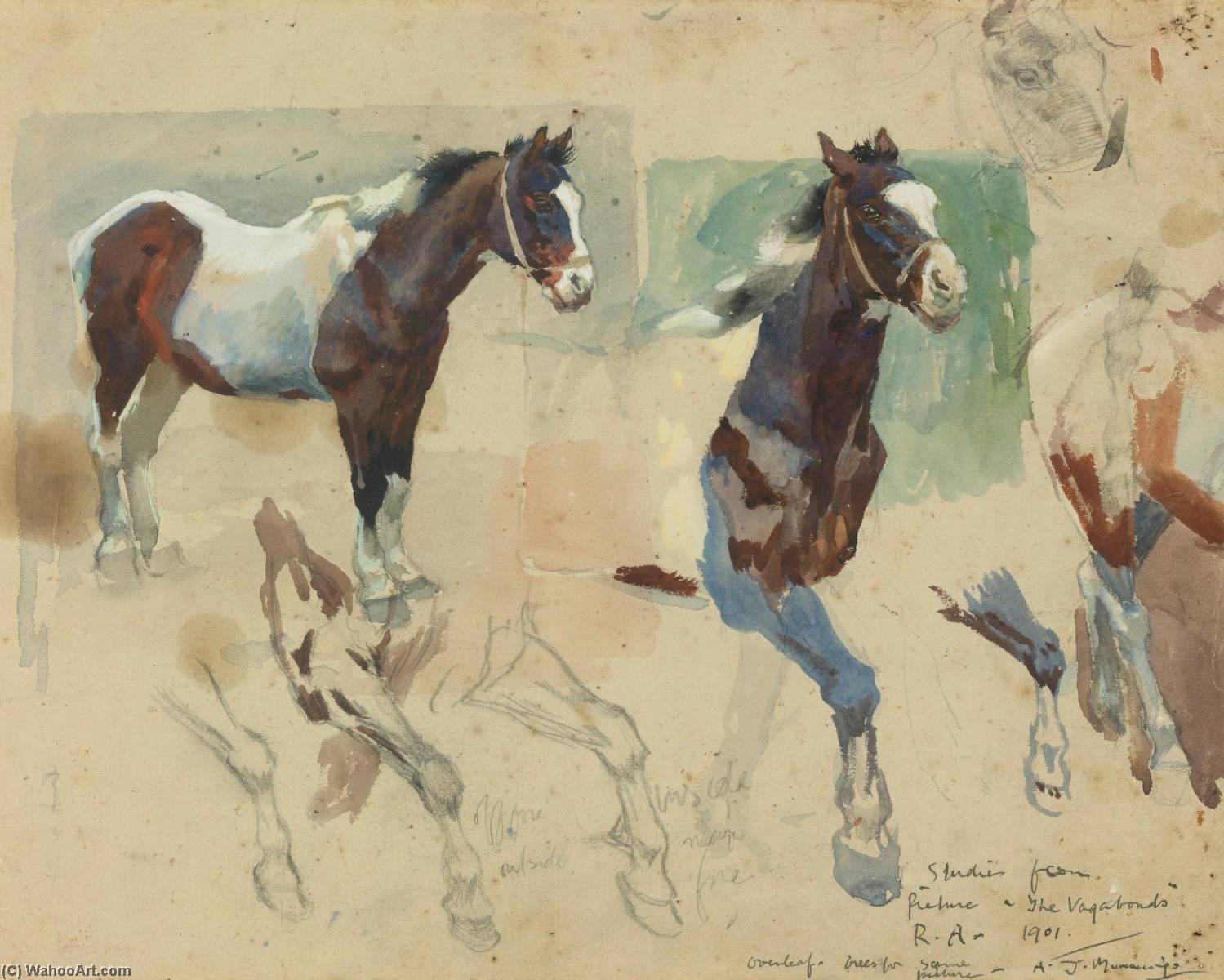 Wikioo.org - The Encyclopedia of Fine Arts - Painting, Artwork by Alfred James Munnings - Studies from the picture The Vagabonds
