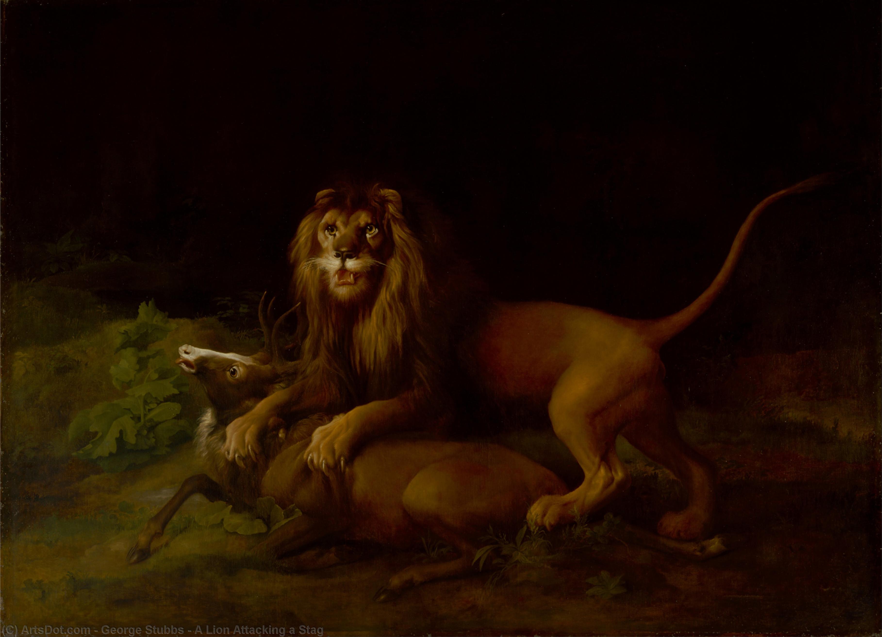 Wikioo.org - Die Enzyklopädie bildender Kunst - Malerei, Kunstwerk von George Stubbs - Einem Löwen anfallend  Ein  Hirsch