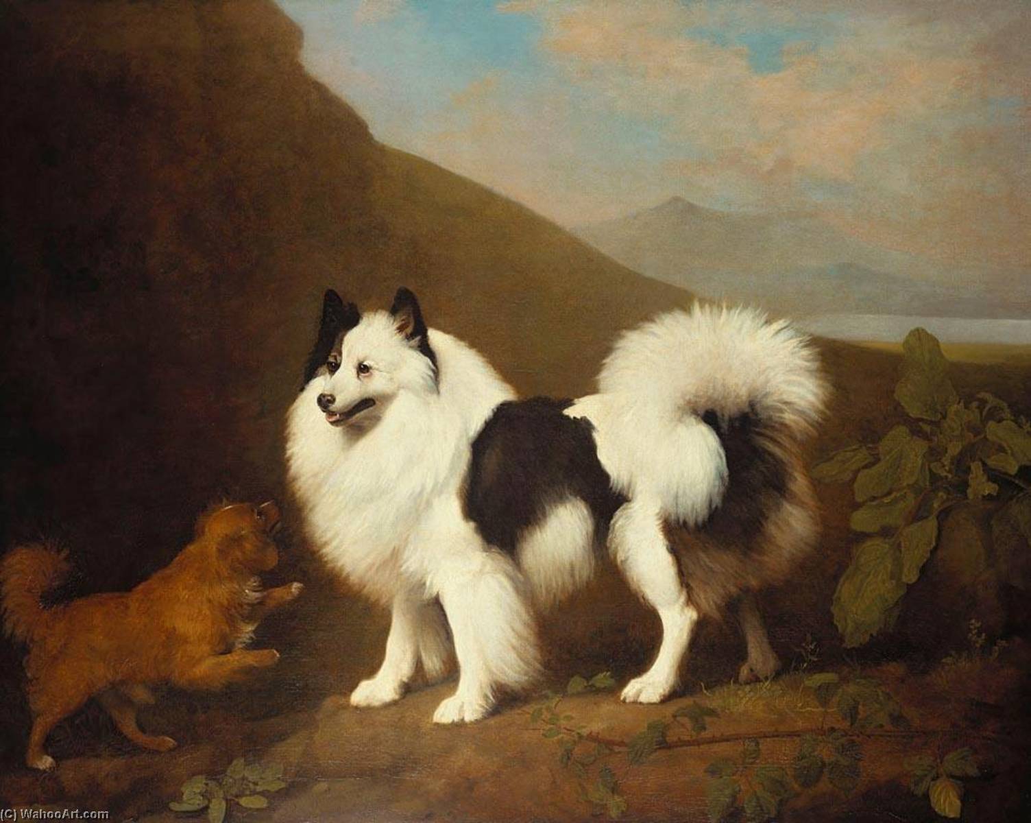 Wikioo.org - The Encyclopedia of Fine Arts - Painting, Artwork by George Stubbs - Fino and Tiny