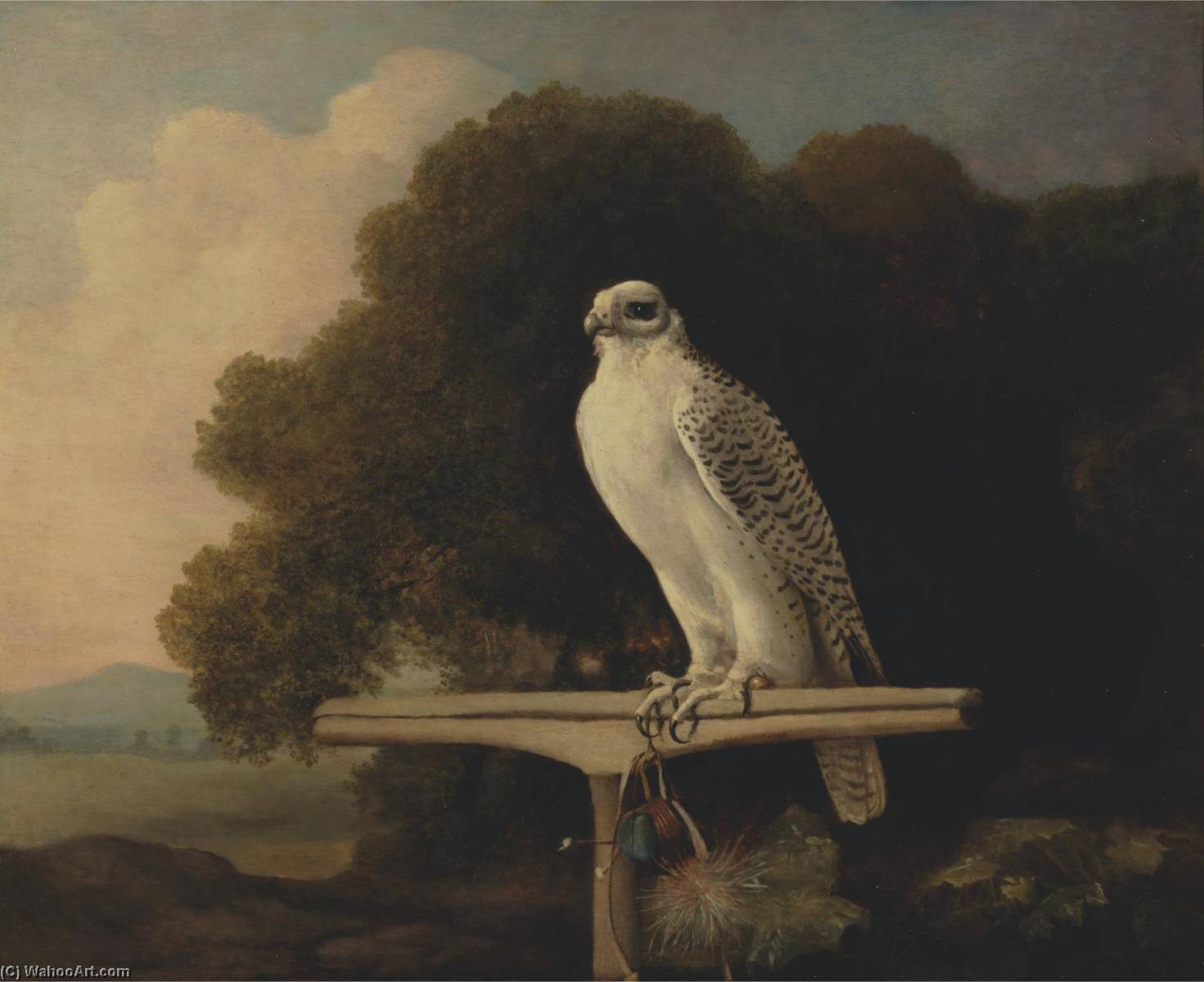 Wikioo.org - The Encyclopedia of Fine Arts - Painting, Artwork by George Stubbs - Greenland Falcon