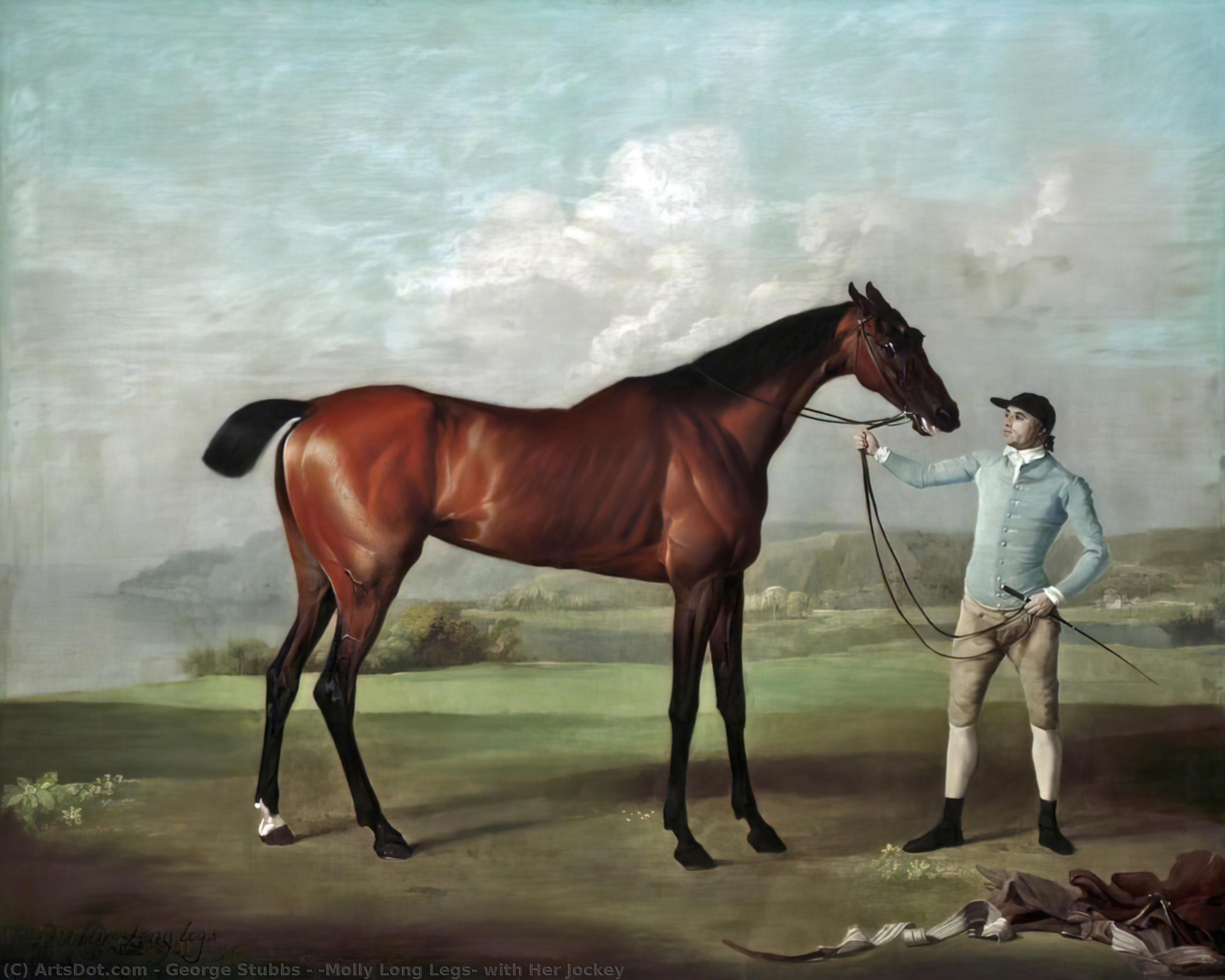 WikiOO.org - אנציקלופדיה לאמנויות יפות - ציור, יצירות אמנות George Stubbs - 'Molly Long Legs' with Her Jockey