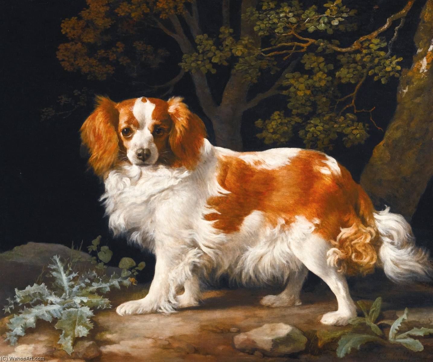 WikiOO.org - Güzel Sanatlar Ansiklopedisi - Resim, Resimler George Stubbs - King Charles Spaniel