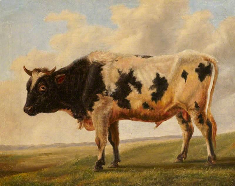 Wikioo.org - The Encyclopedia of Fine Arts - Painting, Artwork by Thomas Sidney Cooper - Friesian Bull in a Landscape