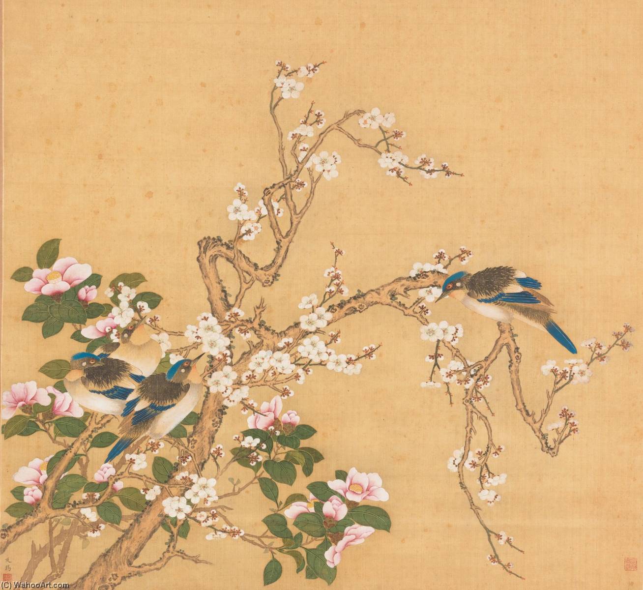 WikiOO.org - Encyclopedia of Fine Arts - Lukisan, Artwork Jiang Tingxi - FLOWER AND BIRDS