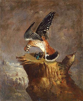 WikiOO.org - Enciclopedia of Fine Arts - Pictura, lucrări de artă Robert Seldon Duncanson - Vulture and Its Prey, (painting)