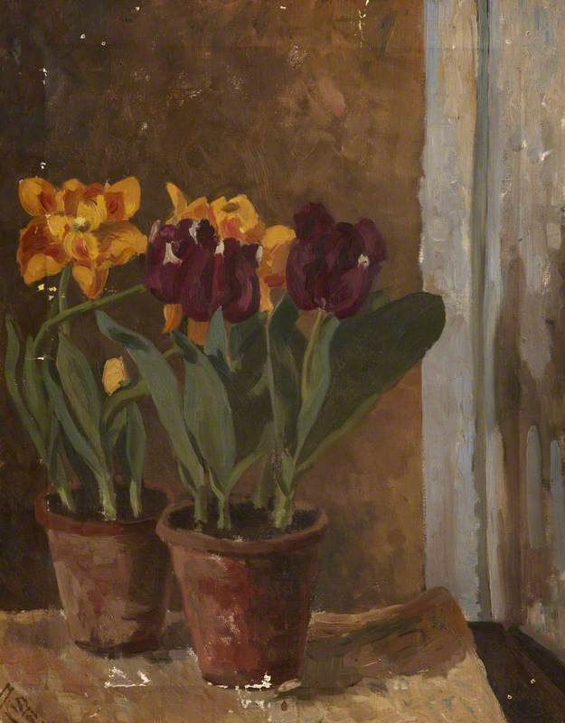 Wikioo.org - The Encyclopedia of Fine Arts - Painting, Artwork by Margaret Frances Anne Vane-Tempest-Stewart - Still Life of Yellow and Purple Tulips in Two Terracotta Pots