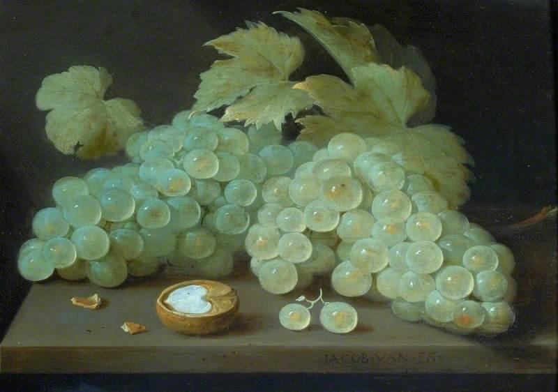 Wikioo.org - The Encyclopedia of Fine Arts - Painting, Artwork by Jacob Foppens Van Es - Grapes with a Half Walnut