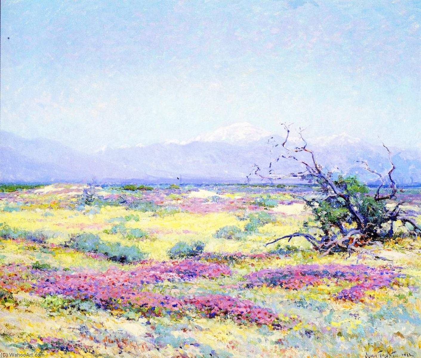 Wikioo.org - The Encyclopedia of Fine Arts - Painting, Artwork by John Frost - The Flowering Desert