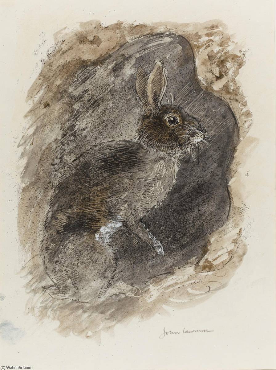 Wikioo.org - The Encyclopedia of Fine Arts - Painting, Artwork by John Lawrence - Rabbit