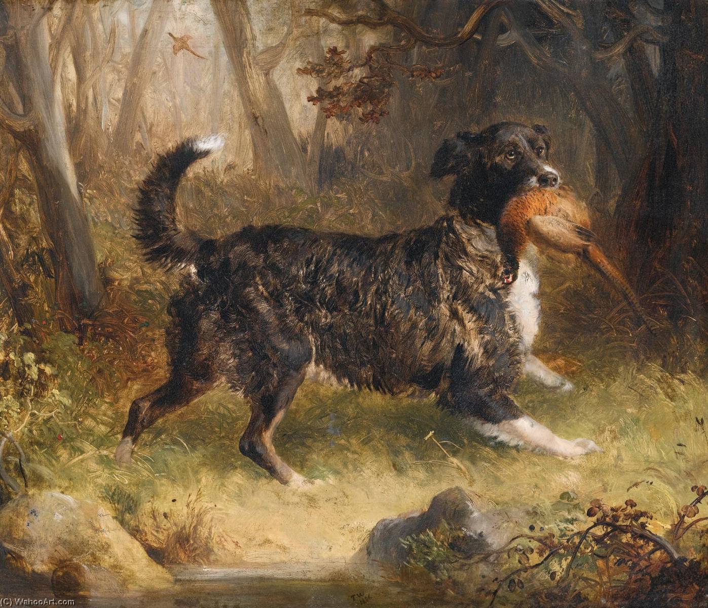 Wikioo.org - The Encyclopedia of Fine Arts - Painting, Artwork by Thomas Woodward - A setter retrieving a cock pheasant