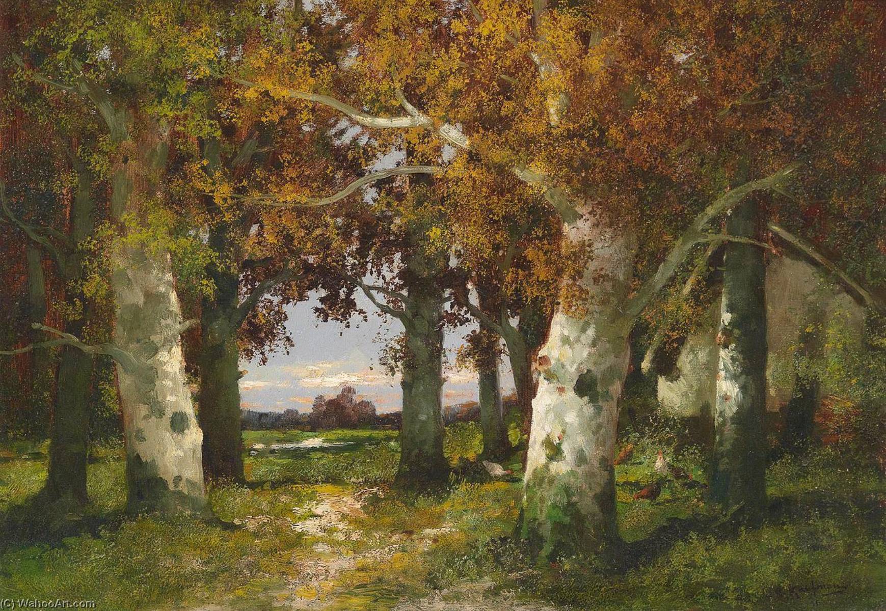Wikioo.org - The Encyclopedia of Fine Arts - Painting, Artwork by Adolf Kaufmann - Forest Landscape