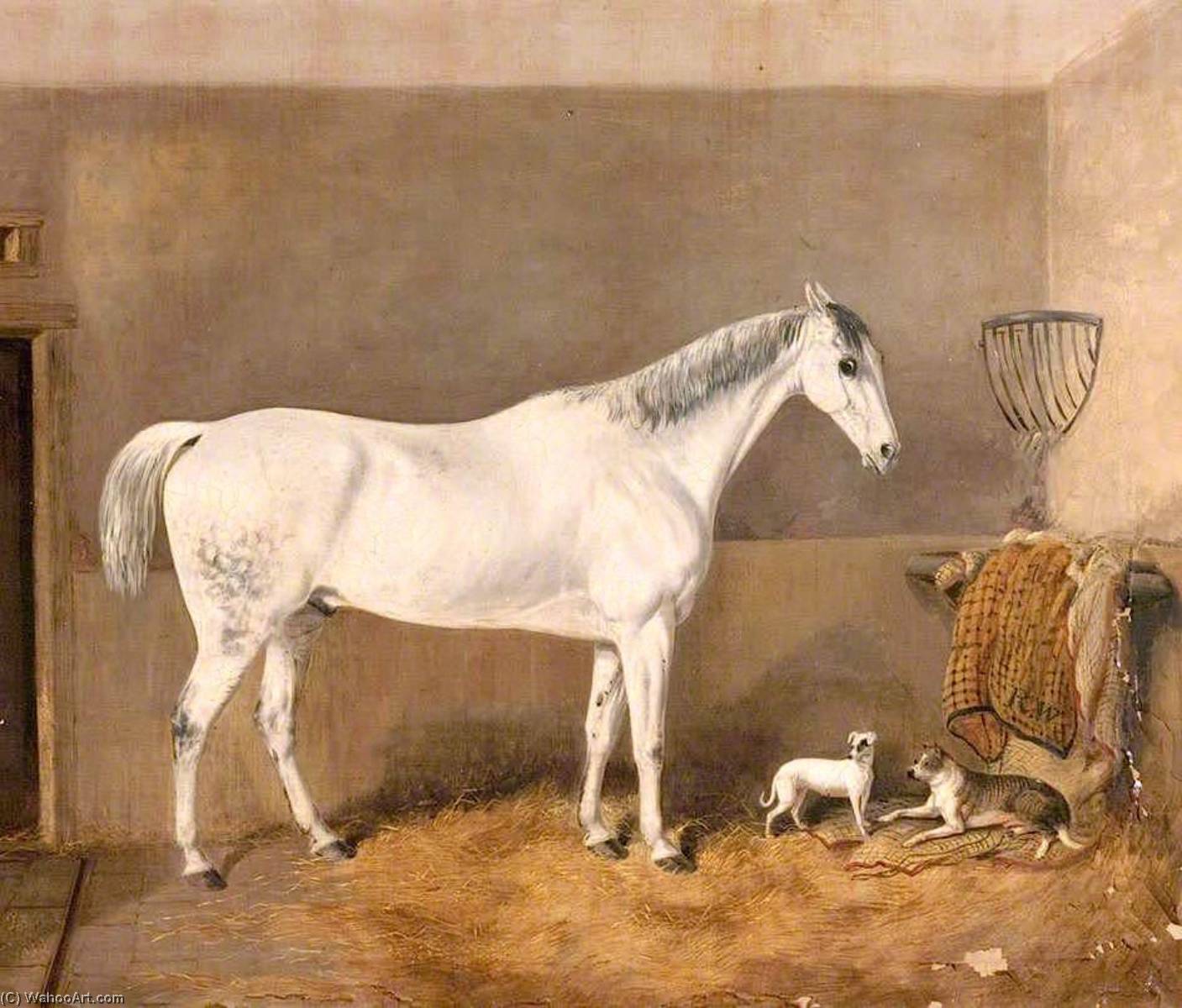 Wikioo.org - The Encyclopedia of Fine Arts - Painting, Artwork by Thomas Walker Bretland - Grey Hunter Owned by Mr Robert White (also known as Horse, Stable and Dog)