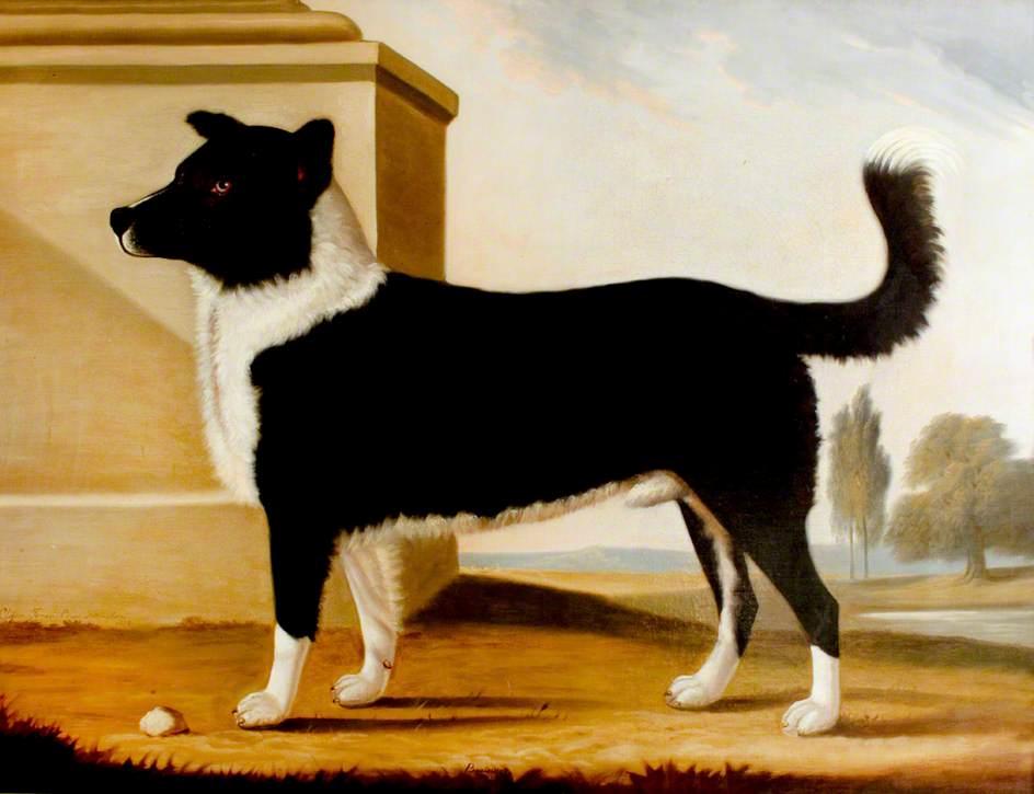Wikioo.org - The Encyclopedia of Fine Arts - Painting, Artwork by Clifton Tomson - Lord Byron's Dog 'Boatswain'