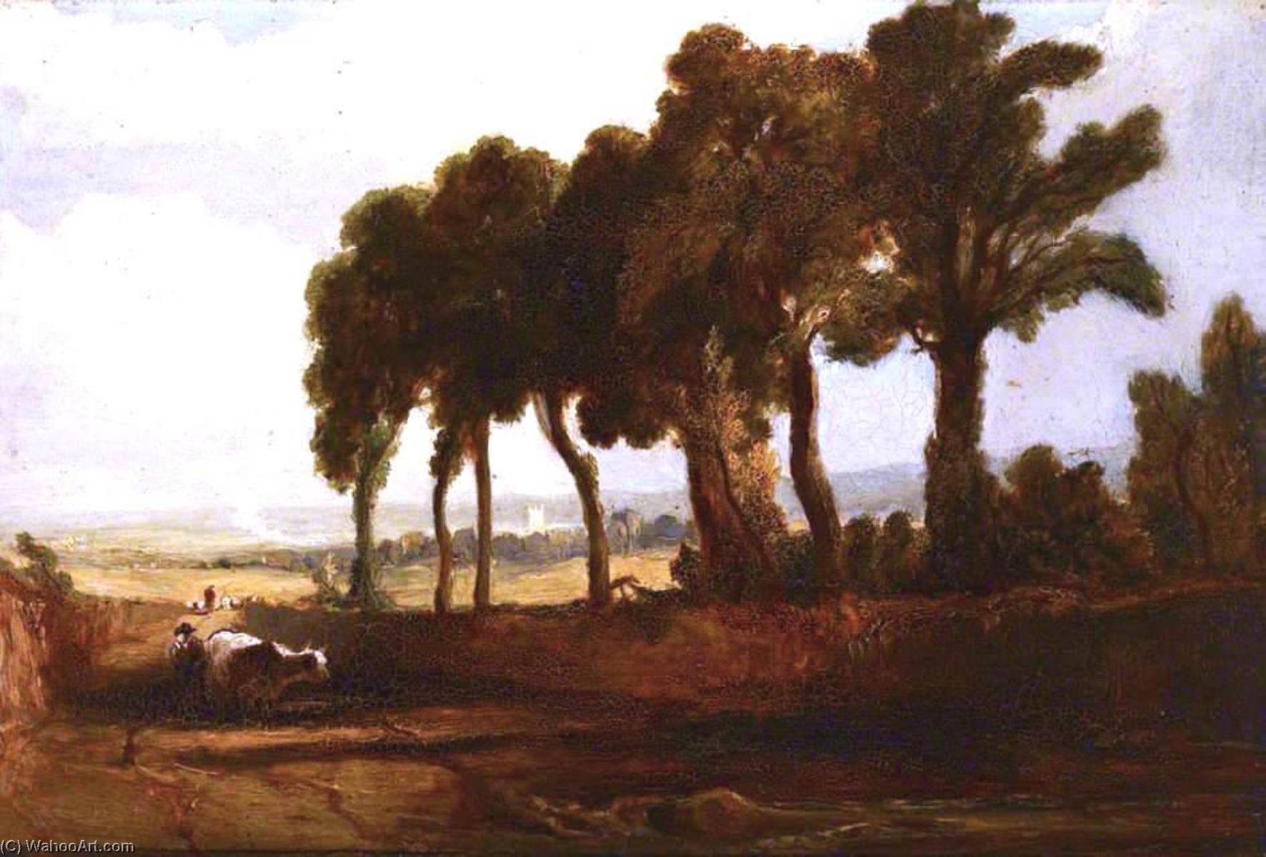 Wikioo.org - The Encyclopedia of Fine Arts - Painting, Artwork by Edmund Thurnton Crawford - A Group of Trees at Grange