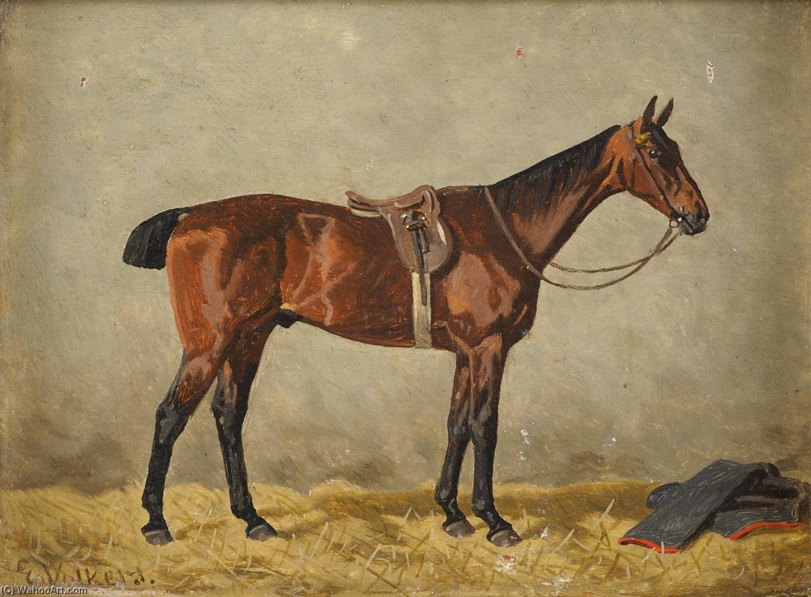 Wikioo.org - The Encyclopedia of Fine Arts - Painting, Artwork by Emil Volkers - A Horse