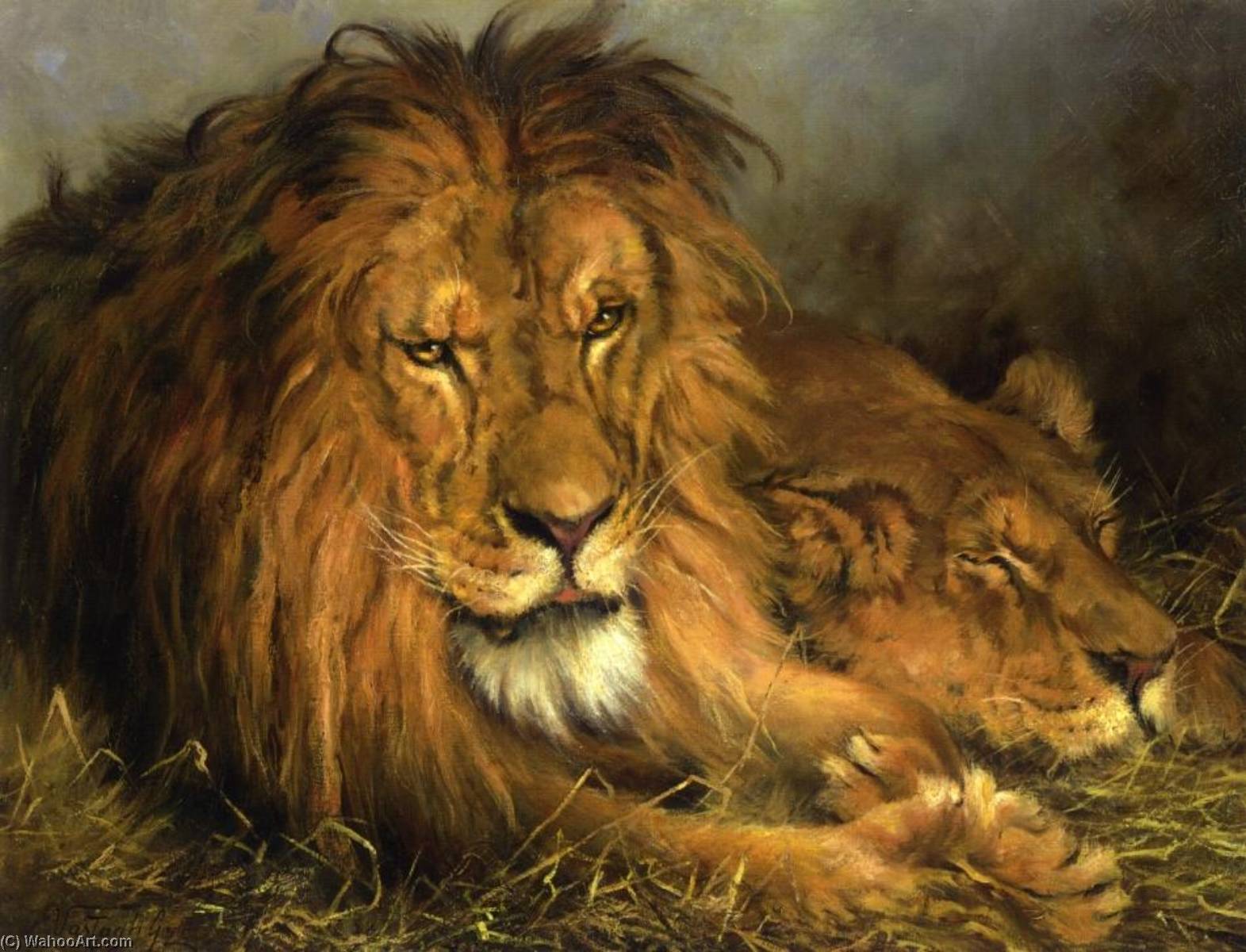 Wikioo.org - The Encyclopedia of Fine Arts - Painting, Artwork by Geza Vastagh - A Lion and Lioness
