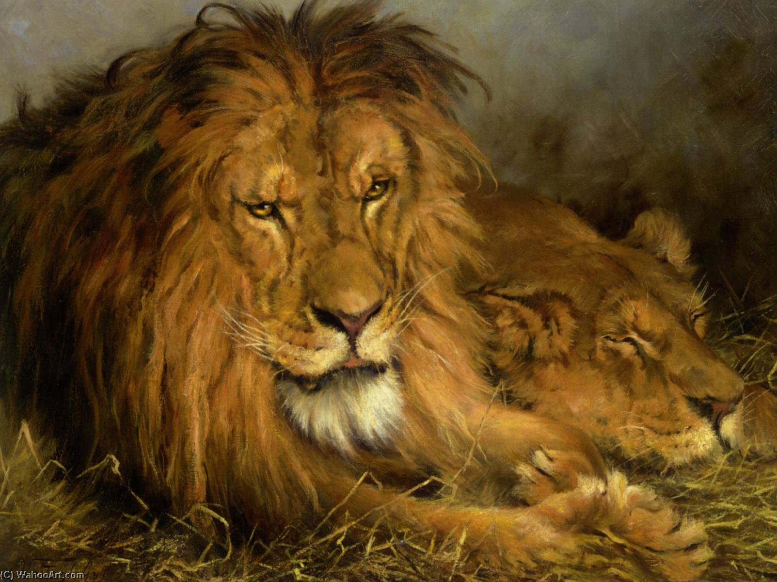 Wikioo.org - The Encyclopedia of Fine Arts - Painting, Artwork by Geza Vastagh - A Lion and a Lioness