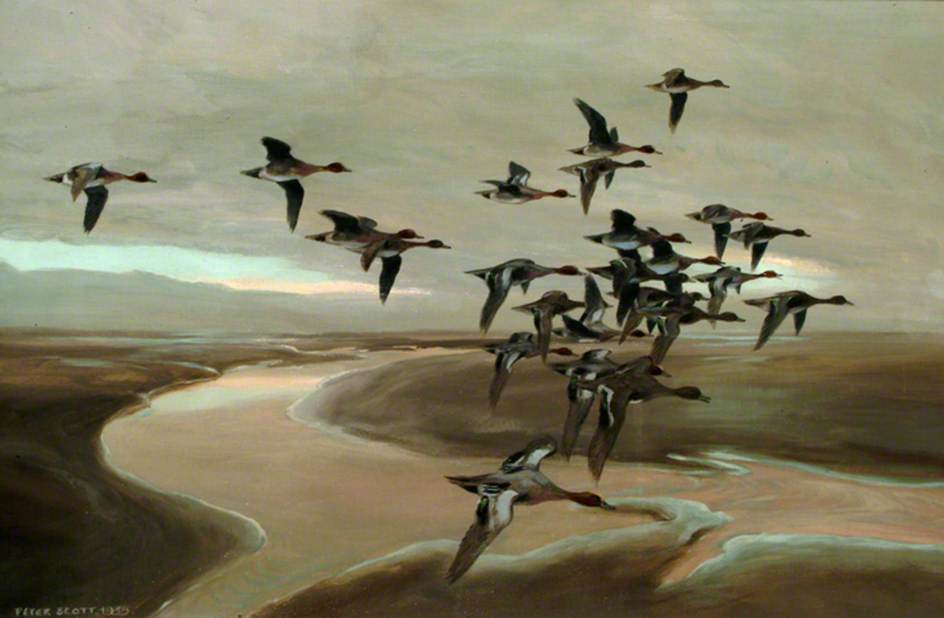 Wikioo.org - The Encyclopedia of Fine Arts - Painting, Artwork by Peter Markham Scott - Flying Geese