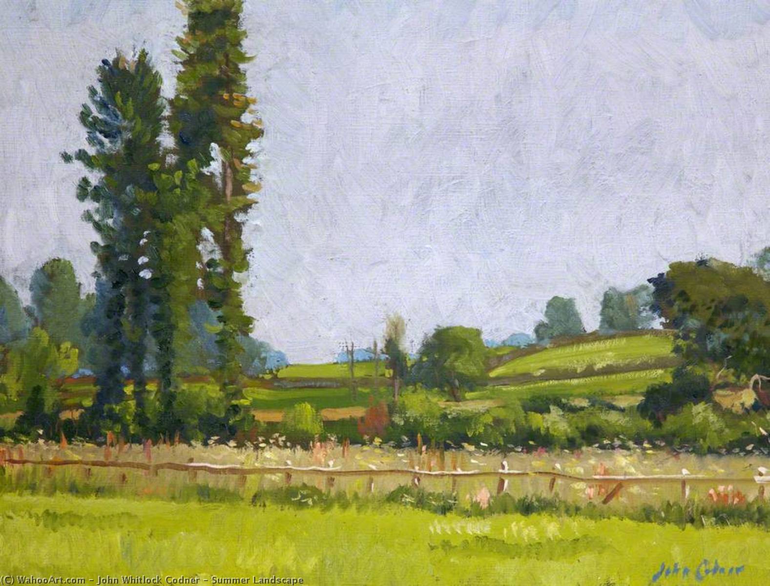 Wikioo.org - The Encyclopedia of Fine Arts - Painting, Artwork by John Whitlock Codner - Summer Landscape