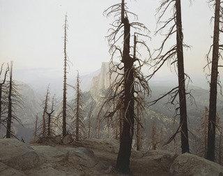 Wikioo.org – La Enciclopedia de las Bellas Artes - Pintura, Obras de arte de Richard Misrach - quemado bosque  asícomo  mitad  cúpula  YOSEMITA