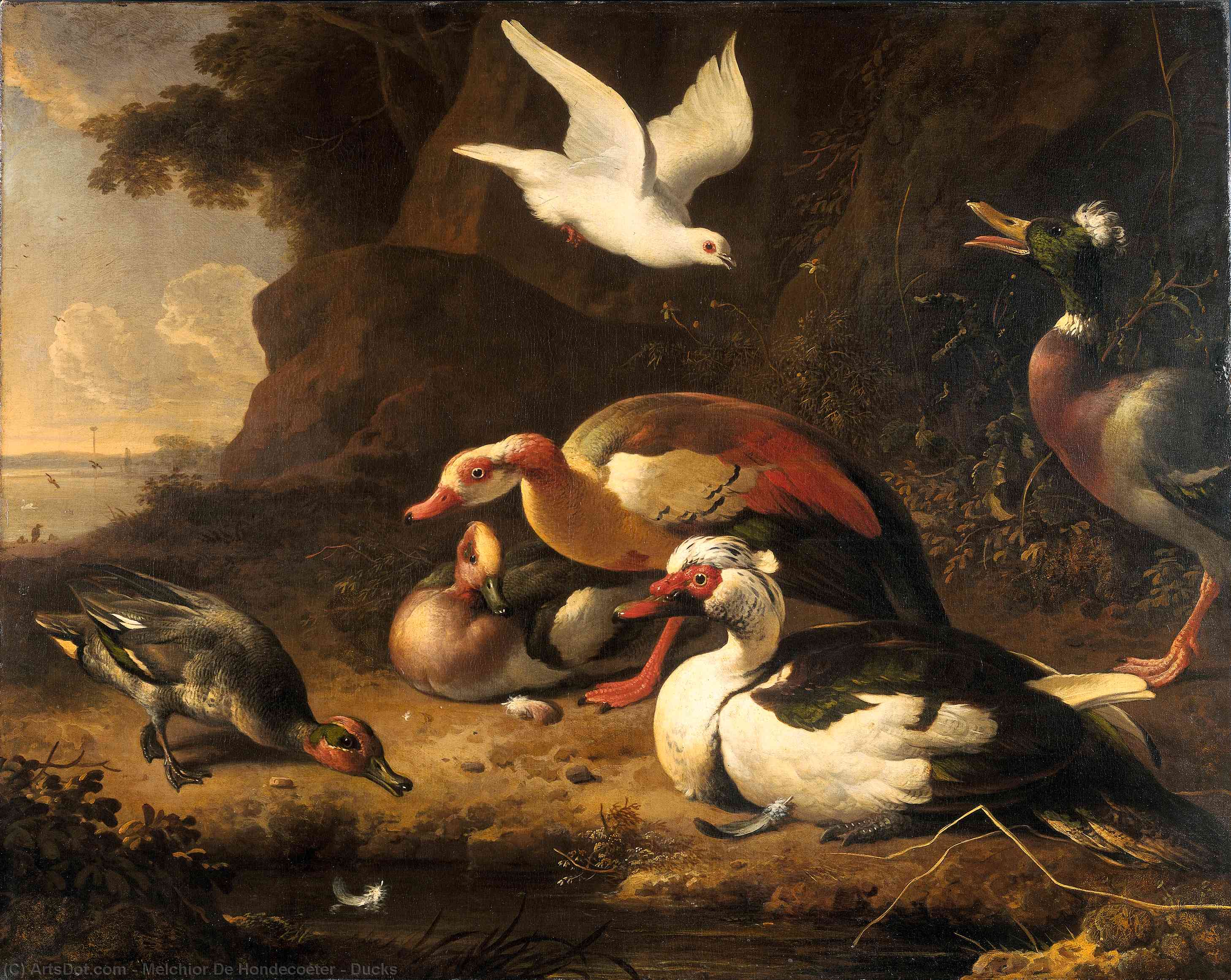 WikiOO.org - Encyclopedia of Fine Arts - Lukisan, Artwork Melchior De Hondecoeter - Ducks