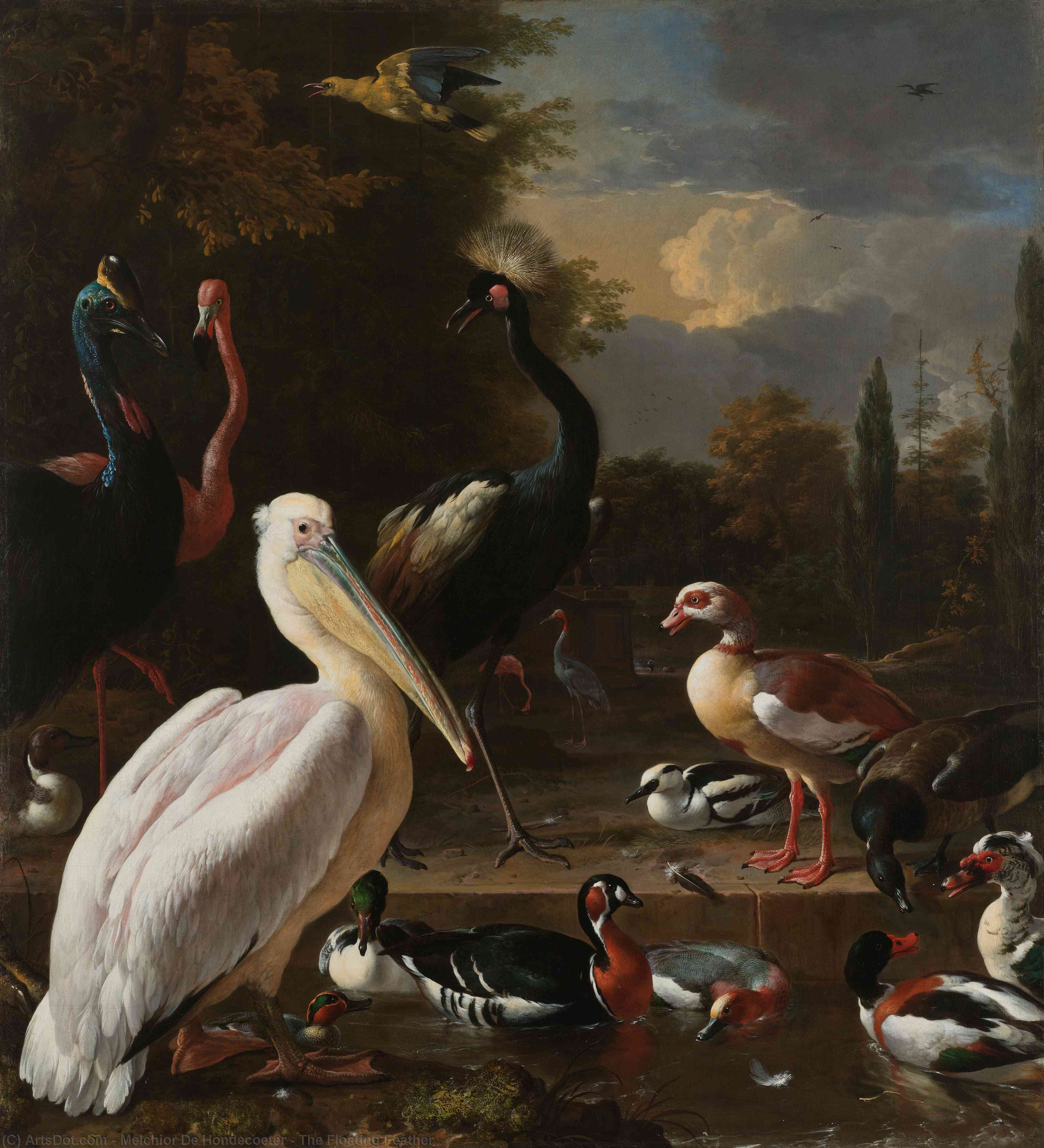 Wikioo.org – La Enciclopedia de las Bellas Artes - Pintura, Obras de arte de Melchior De Hondecoeter - la pluma flotante