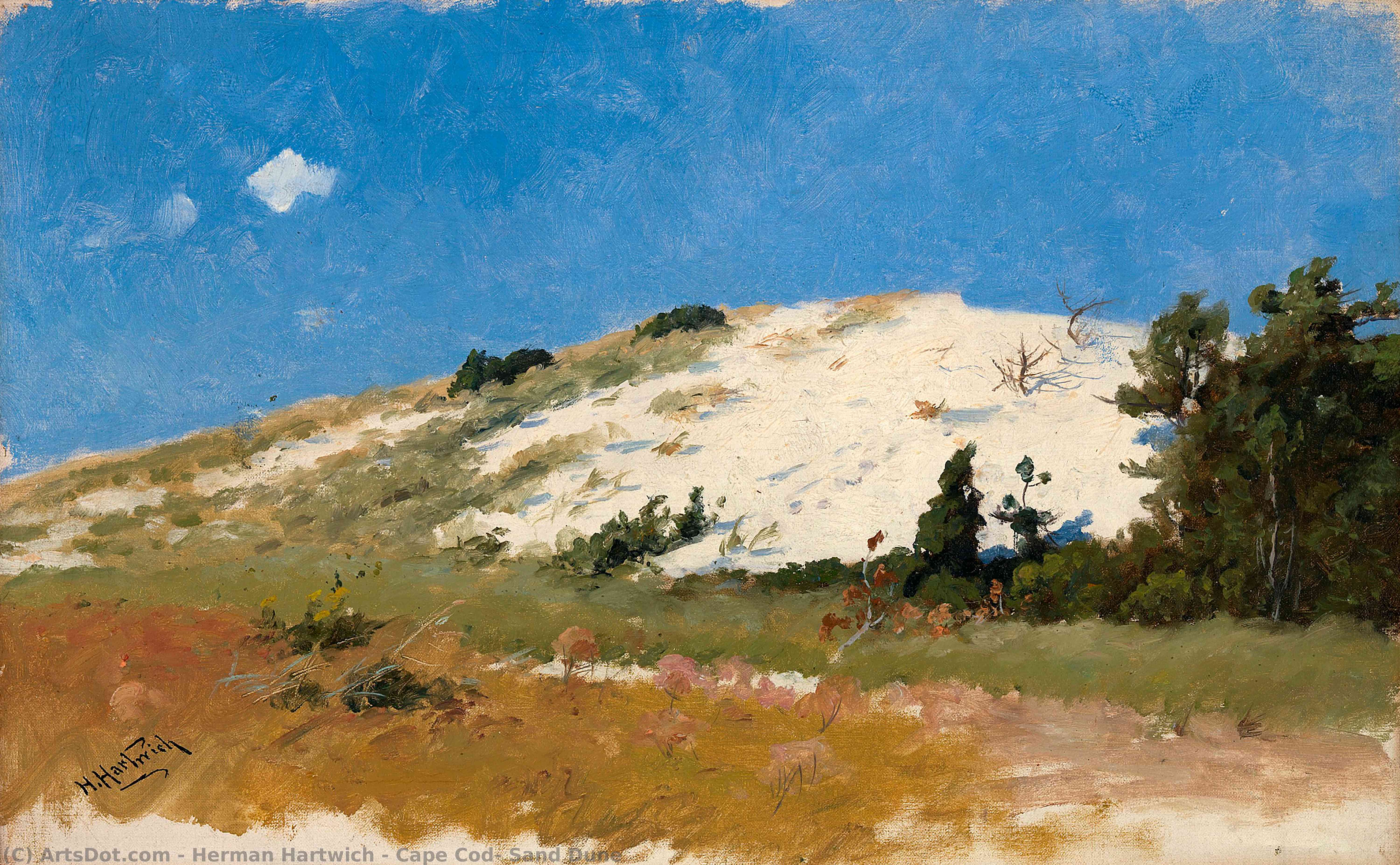 Wikioo.org - The Encyclopedia of Fine Arts - Painting, Artwork by Herman Hartwich - Cape Cod, Sand Dune