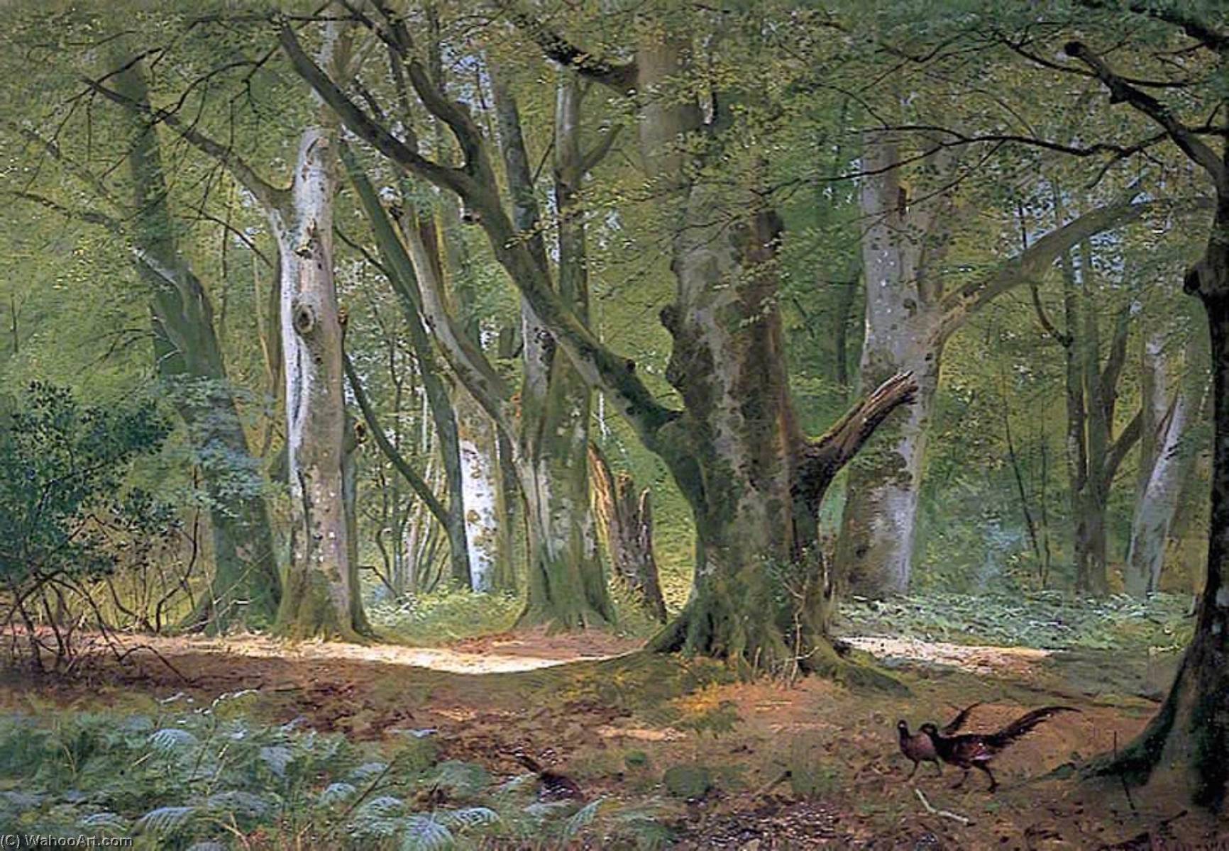 Wikioo.org - The Encyclopedia of Fine Arts - Painting, Artwork by Richard Beavis - In the Shade of the Beeches, Buckhurst Park, Kent